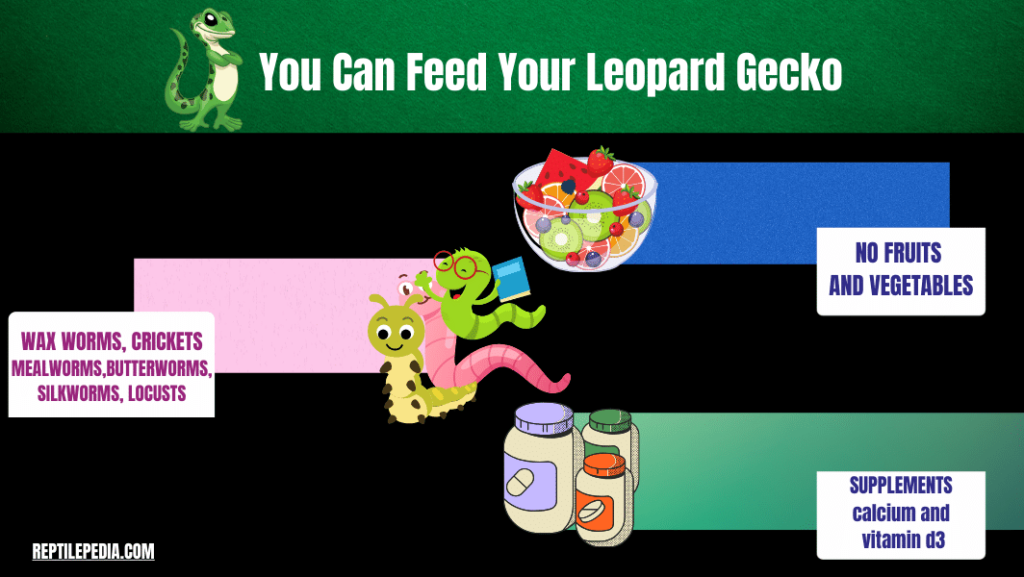 Leopard Geckos and Mealworm Beetles: A Perfect Pair or Not?