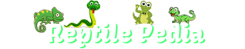 The Reptile Pedia